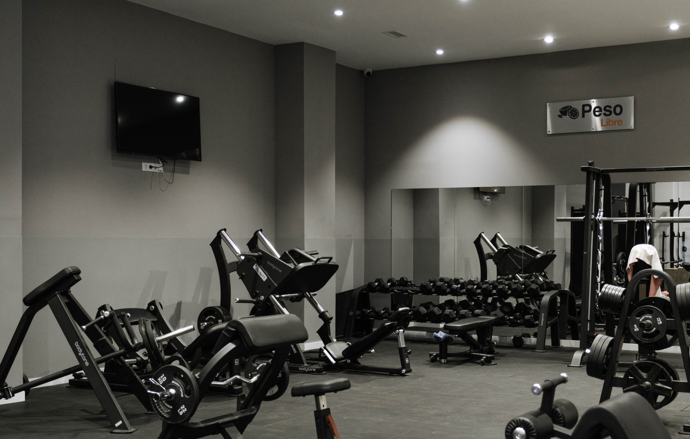 formato gimnasio standard
